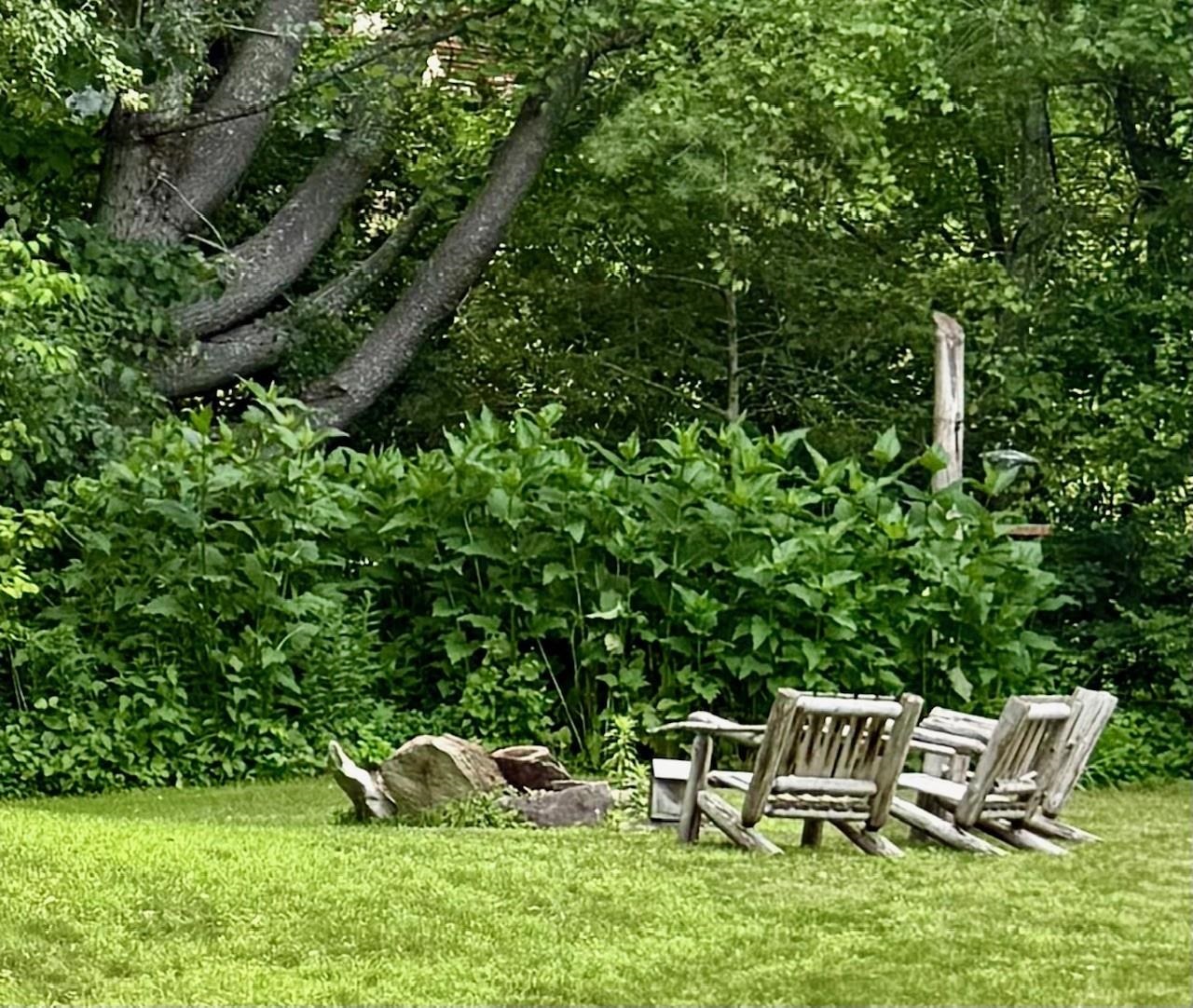 64 Gleason Farm Lane Jamaica, VT 05343 - Photo 31 of 36