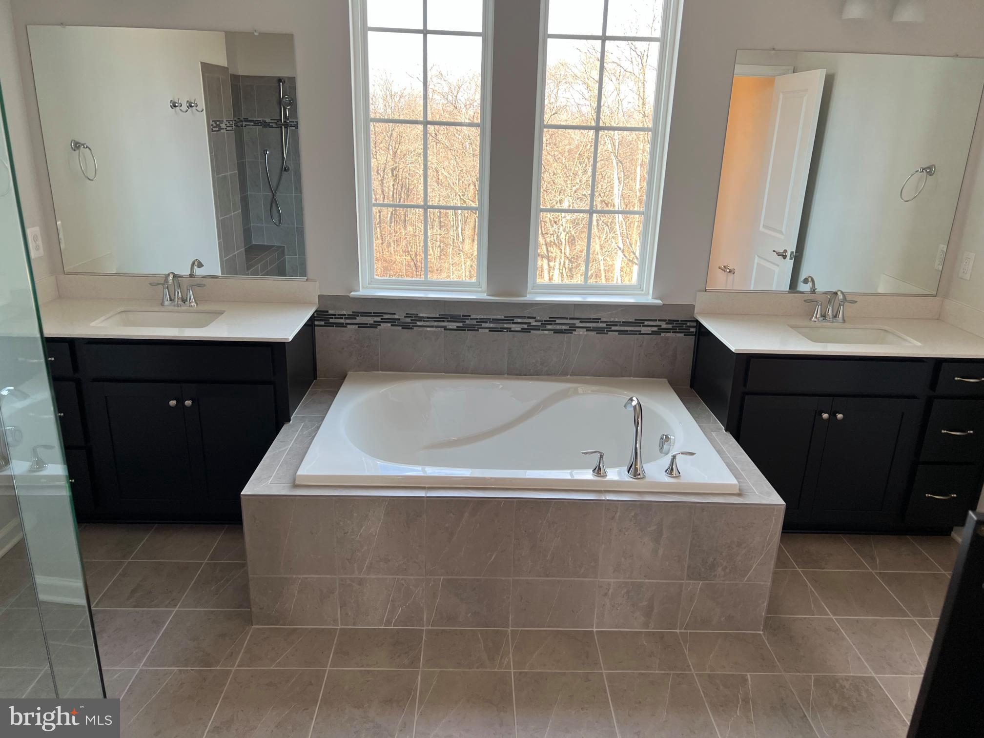 5745 Hawk Ridge Road Frederick, MD 21704 - Photo 10 of 15 Owner's Soaking Tub