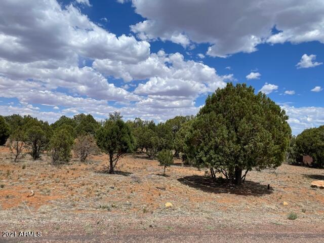 3443 Riata Road, Unit 76 Heber, AZ 85928 - Photo 1 of 6 Riata 1