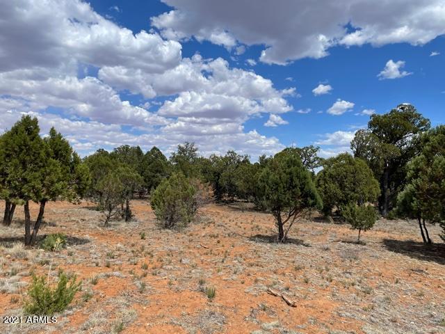 3443 Riata Road, Unit 76 Heber, AZ 85928 - Photo 2 of 6 Riata 2