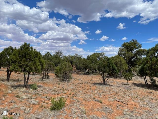 3443 Riata Road, Unit 76 Heber, AZ 85928 - Photo 3 of 6 Riata 3