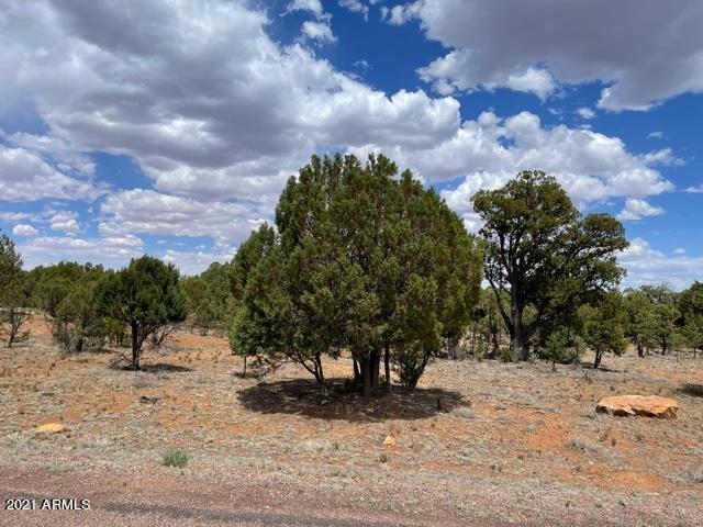 3443 Riata Road, Unit 76 Heber, AZ 85928 - Photo 6 of 6 Riata