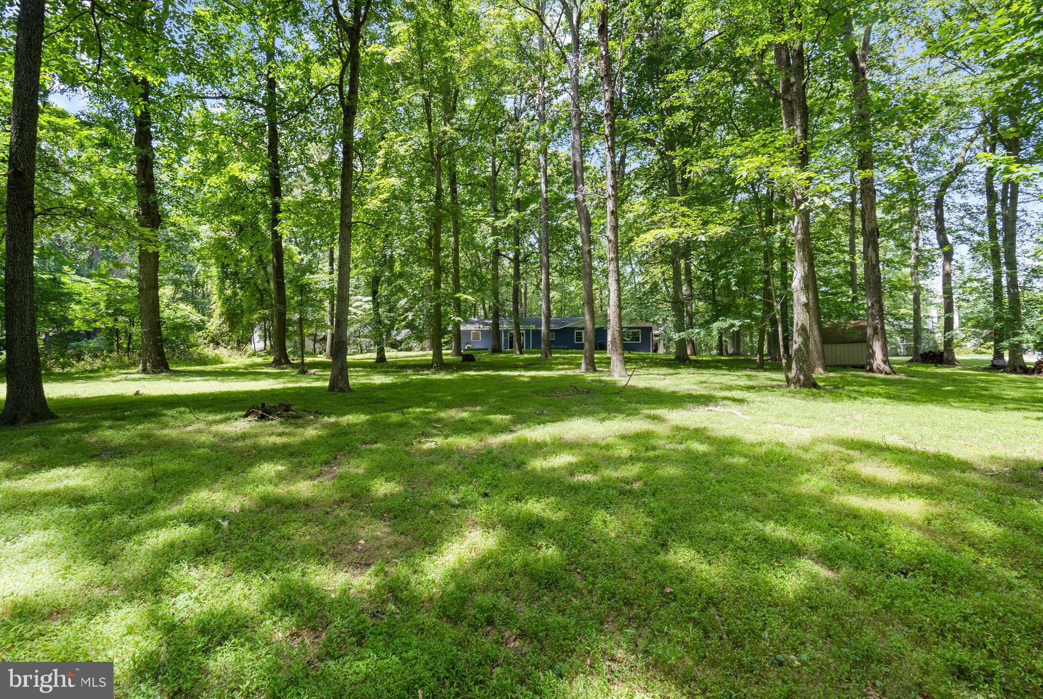7725 Grasty Road Baltimore, MD 21208 - Photo 52 of 59 Open Space for Outdoor Fun