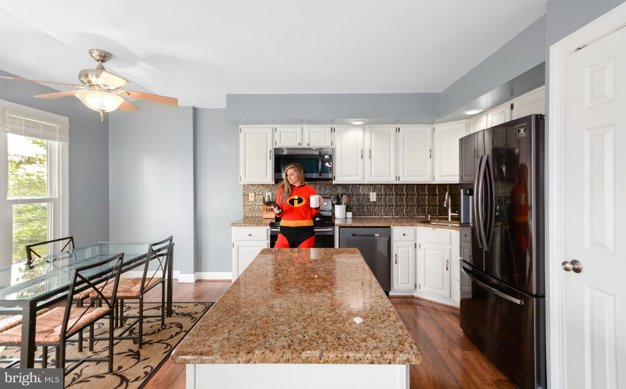 5560 Rivendell Place Frederick, MD 21703 - Photo 17 of 44 INCREDIBLE kitchen full of updates