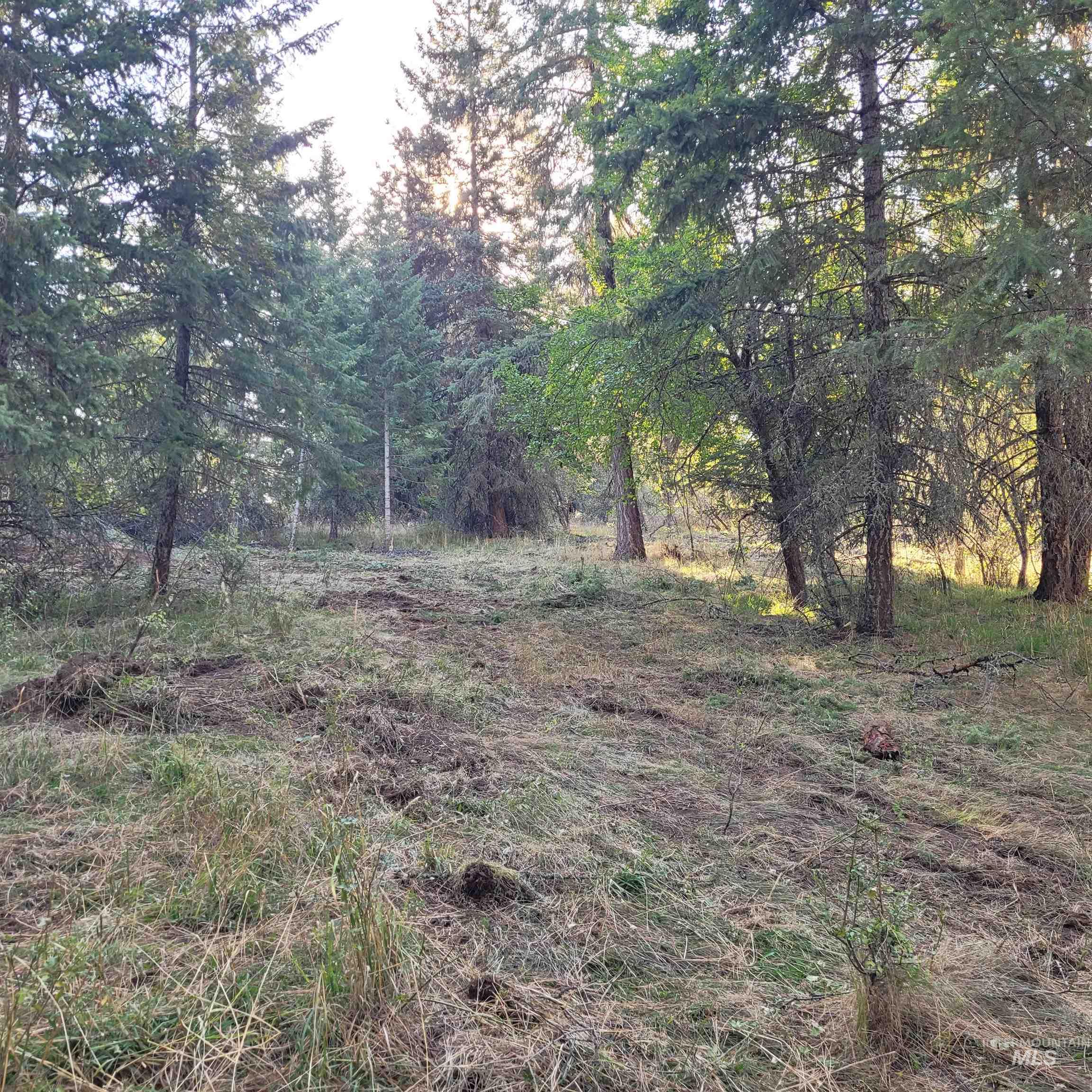 Parcel A Elk City Wagon Road Stites, ID 83552 - Photo 6 of 10