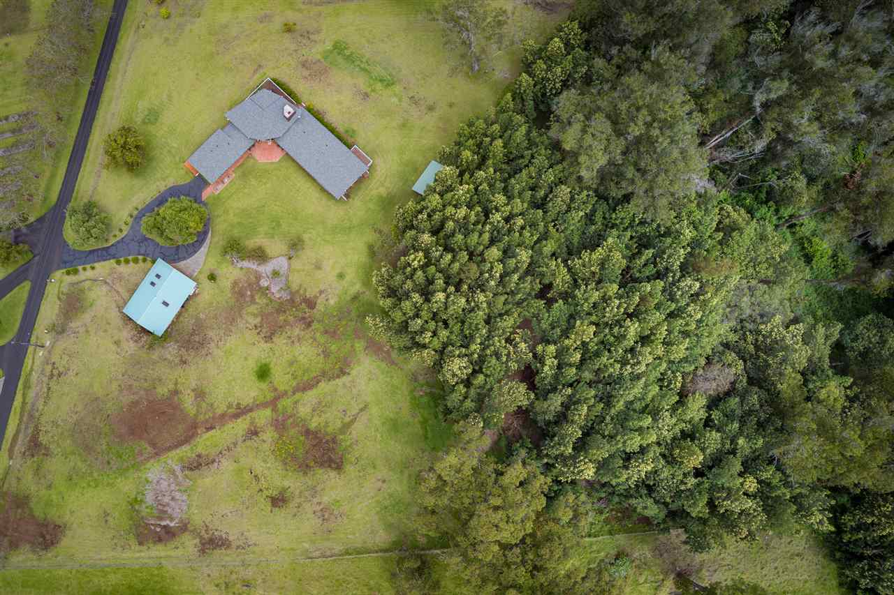 545 Hapapa Road Kula, HI 96790 - Photo 12 of 25 Gallery Image 12