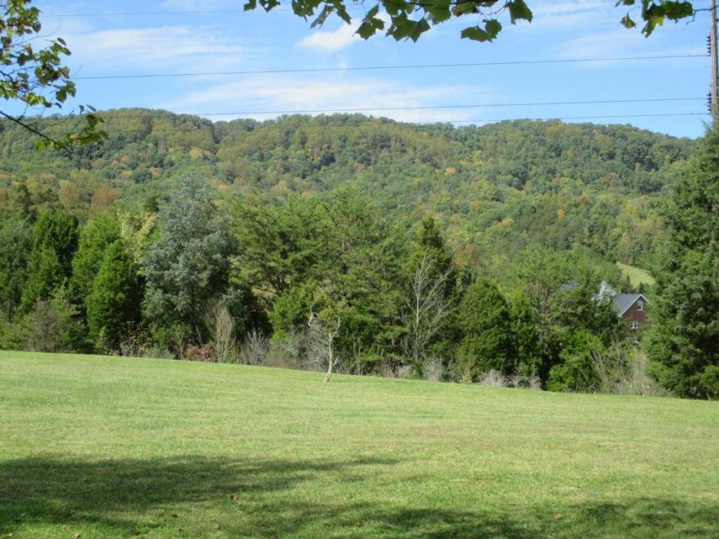 4220 Reservoir Road Kingsport, TN 37660 - Photo 21 of 24 View for back