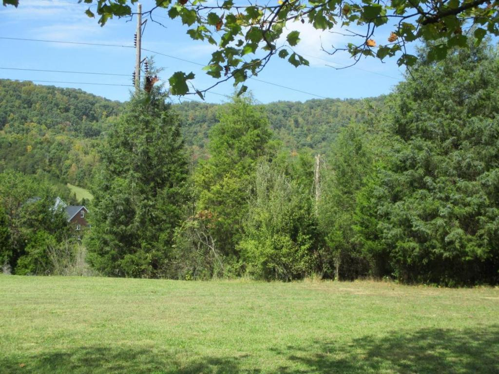 4220 Reservoir Road Kingsport, TN 37660 - Photo 22 of 24 View from Back