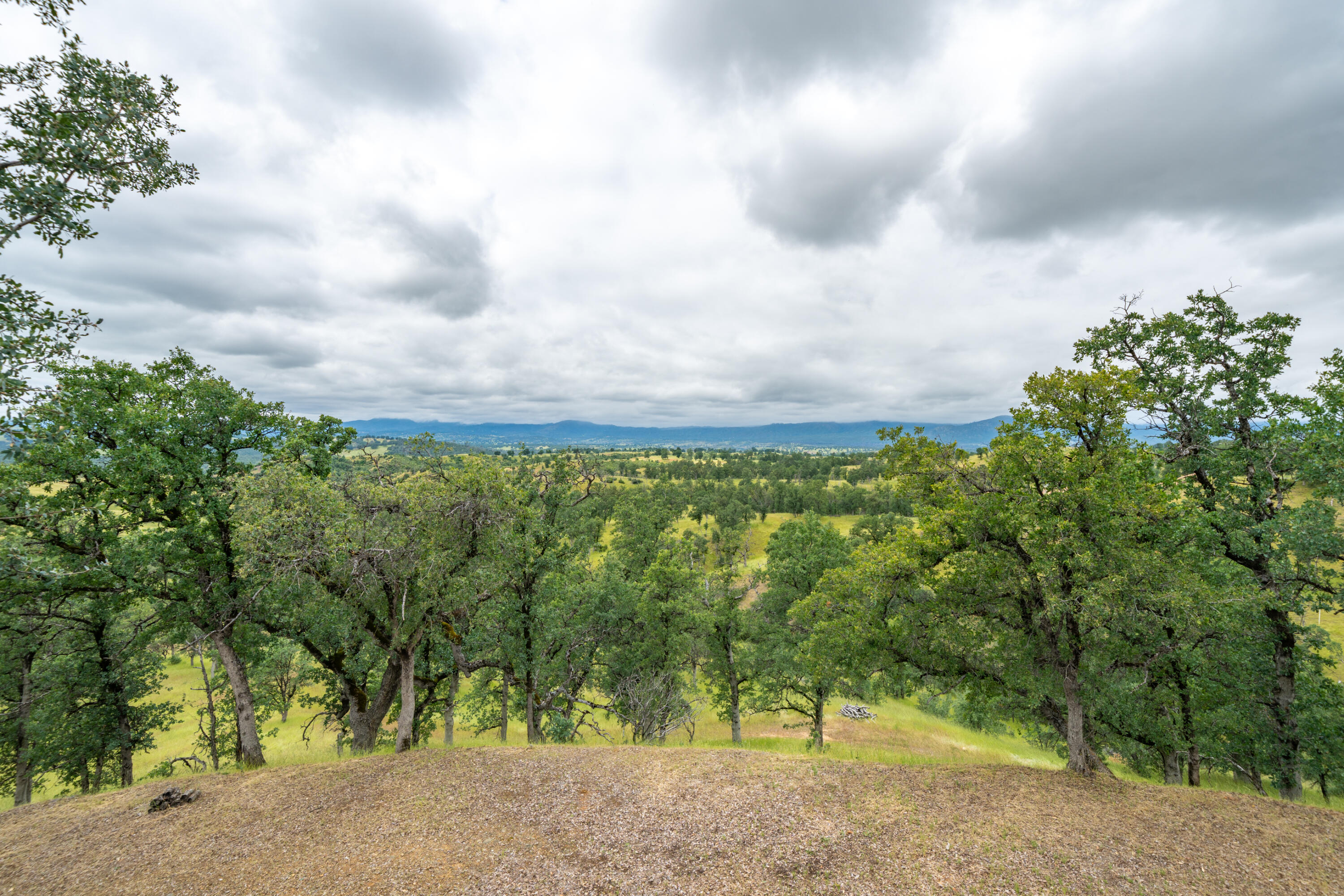 12921 Gas Point Road Igo, CA 96047 - Photo 59 of 98 12921 Gas Point Rd-55