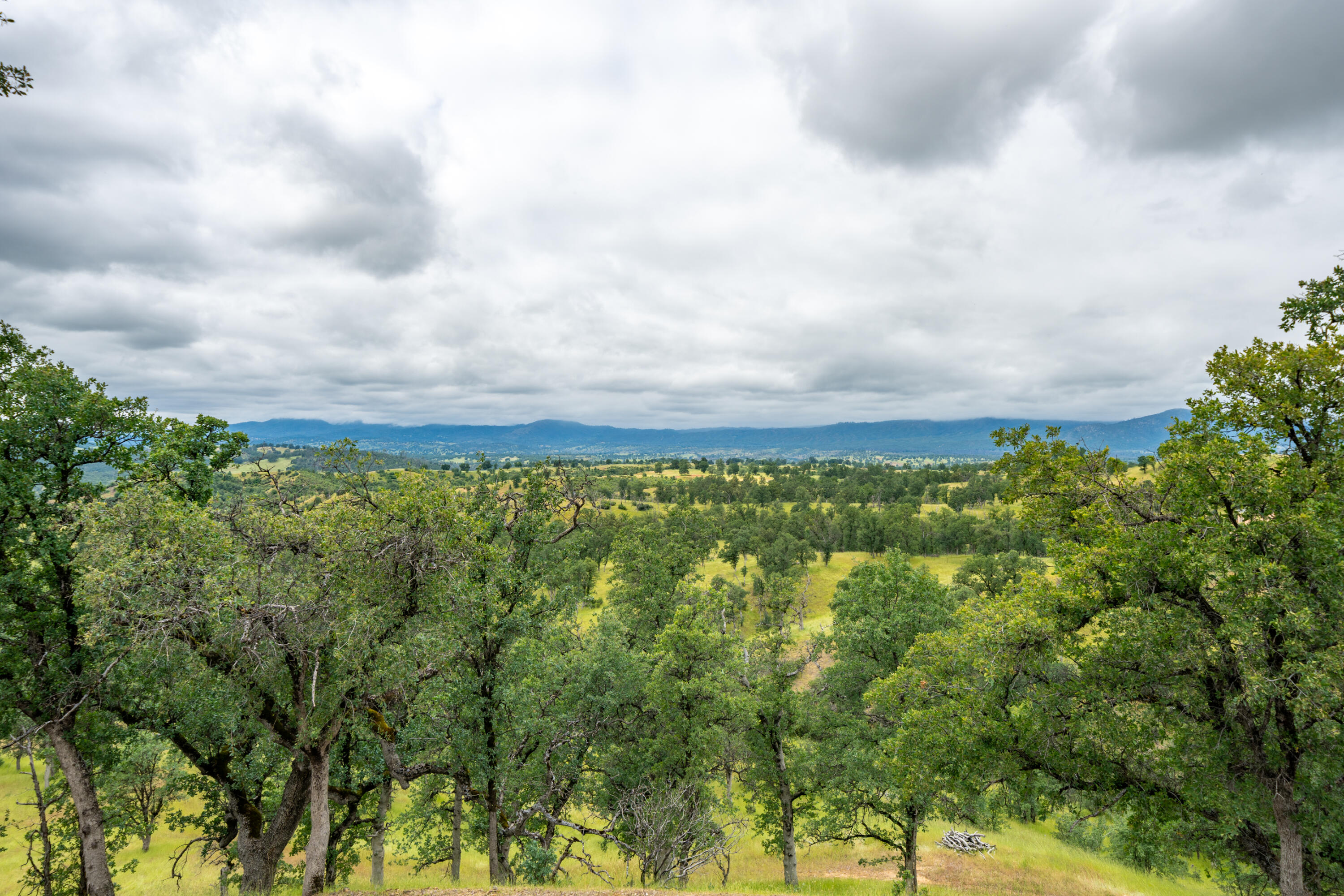 12921 Gas Point Road Igo, CA 96047 - Photo 60 of 98 12921 Gas Point Rd-56