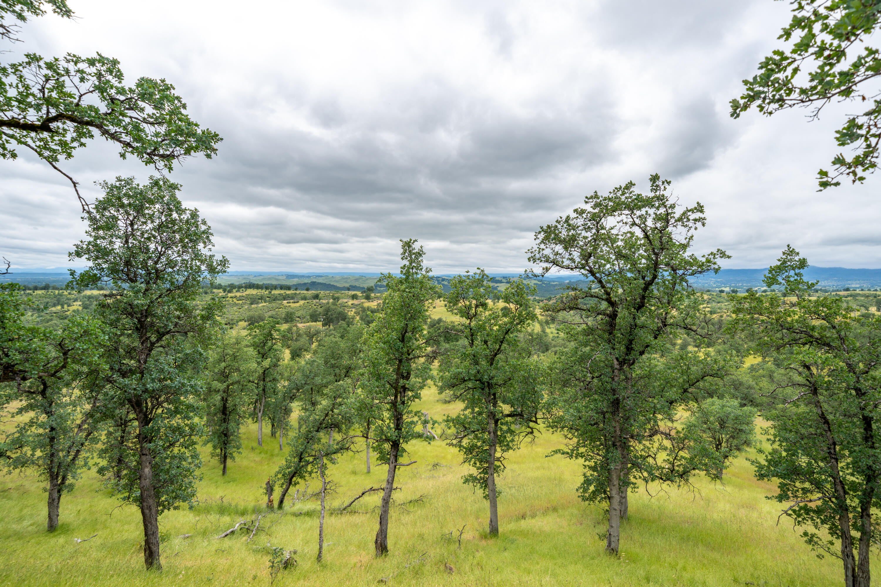 12921 Gas Point Road Igo, CA 96047 - Photo 65 of 98 12921 Gas Point Rd-63