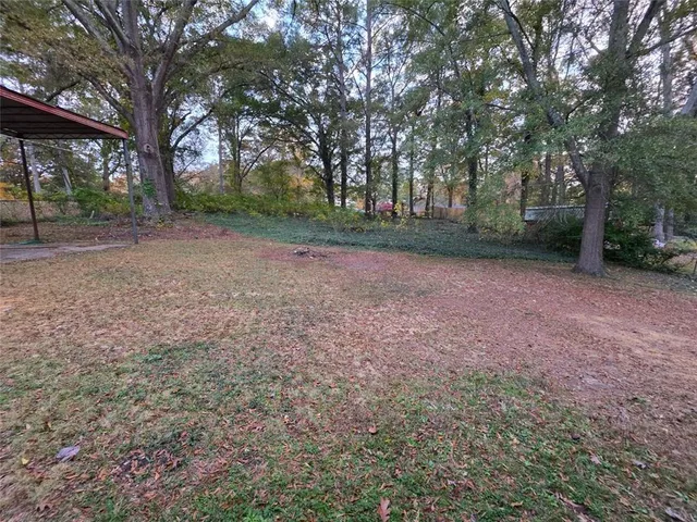 a view of a tree in the middle of a forest