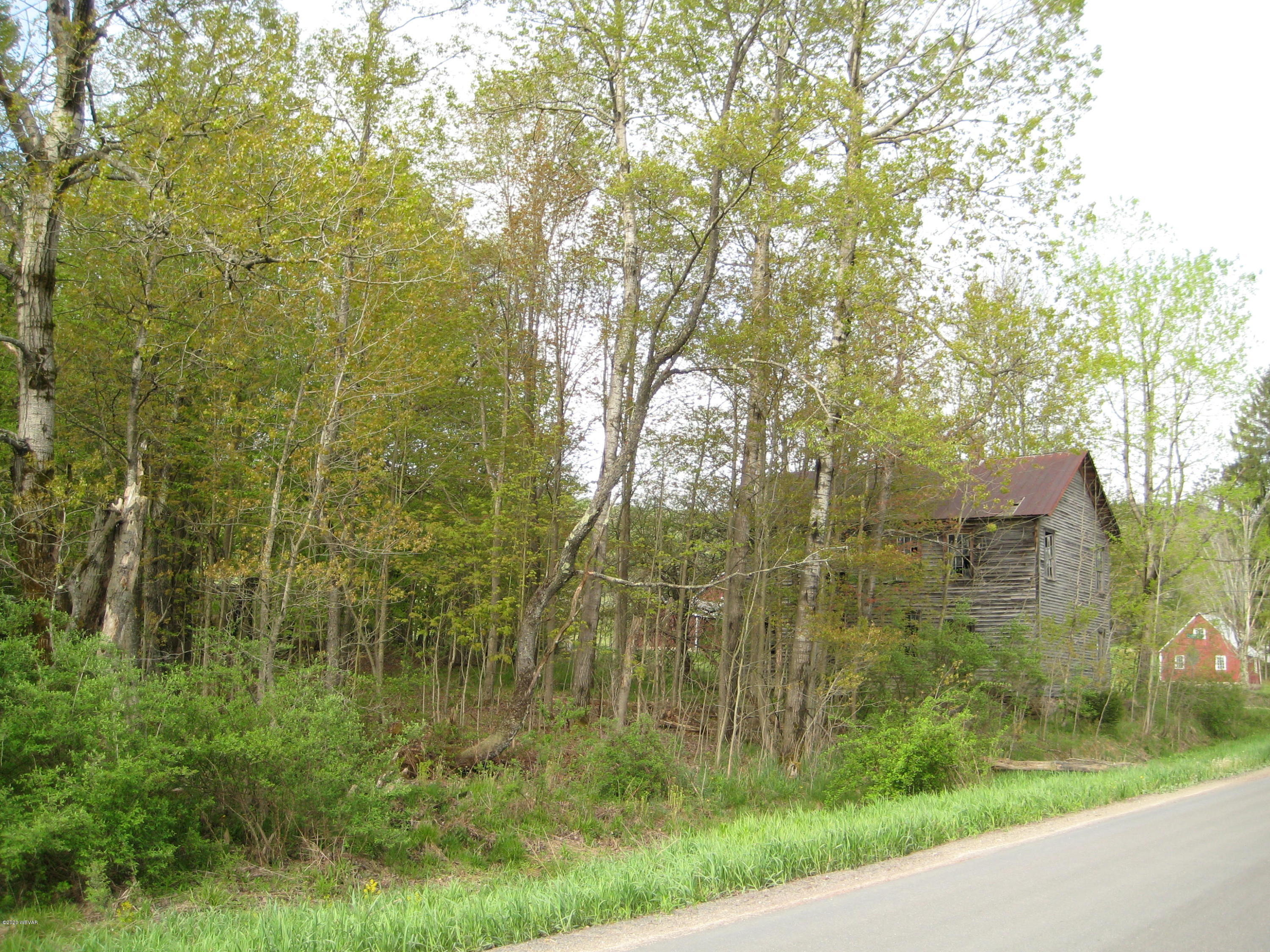 Ellenton Mountain Shunk, PA 17768 - Photo 2 of 7 Gallery Image 2