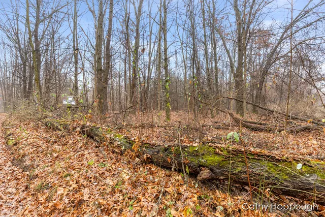 $250,000 | V/l West Snows Lake Road, Unit PARCEL 1, Fenwick, MI 48834