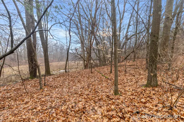 $250,000 | V/l West Snows Lake Road, Unit PARCEL 1, Fenwick, MI 48834