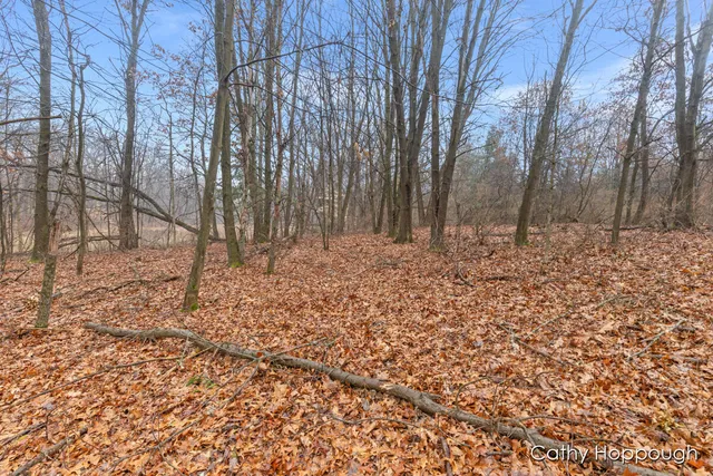 $250,000 | V/l West Snows Lake Road, Unit PARCEL 1, Fenwick, MI 48834