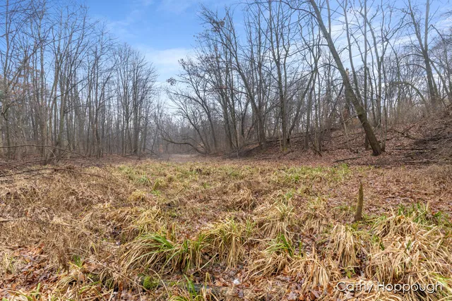 $250,000 | V/l West Snows Lake Road, Unit PARCEL 1, Fenwick, MI 48834