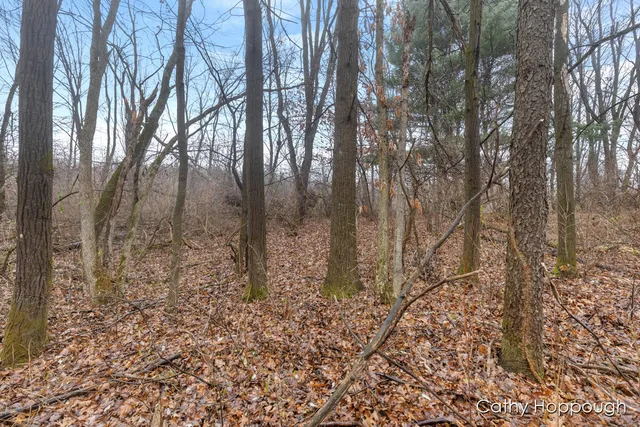 $250,000 | V/l West Snows Lake Road, Unit PARCEL 1, Fenwick, MI 48834