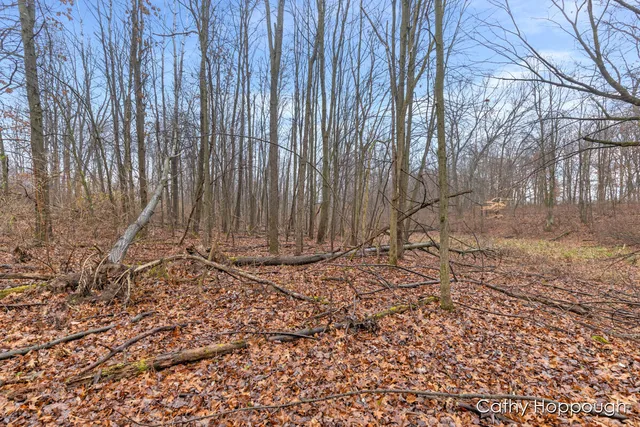 $250,000 | V/l West Snows Lake Road, Unit PARCEL 1, Fenwick, MI 48834