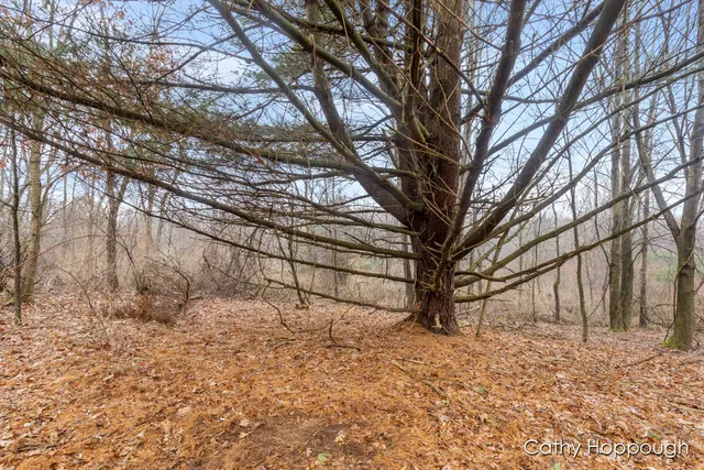 $250,000 | V/l West Snows Lake Road, Unit PARCEL 1, Fenwick, MI 48834