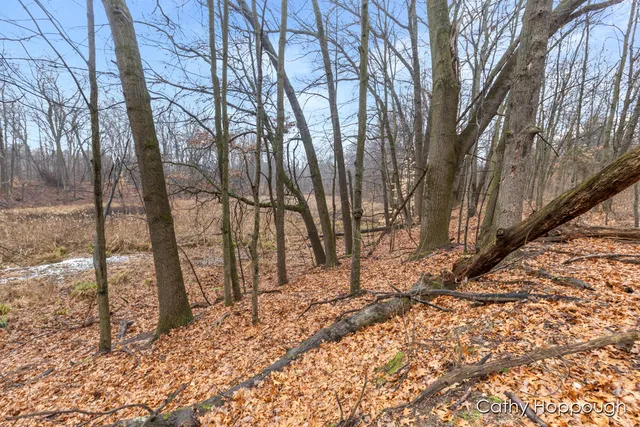 $250,000 | V/l West Snows Lake Road, Unit PARCEL 1, Fenwick, MI 48834