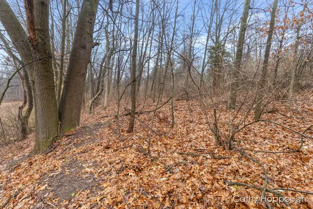 $250,000 | V/l West Snows Lake Road, Unit PARCEL 1, Fenwick, MI 48834