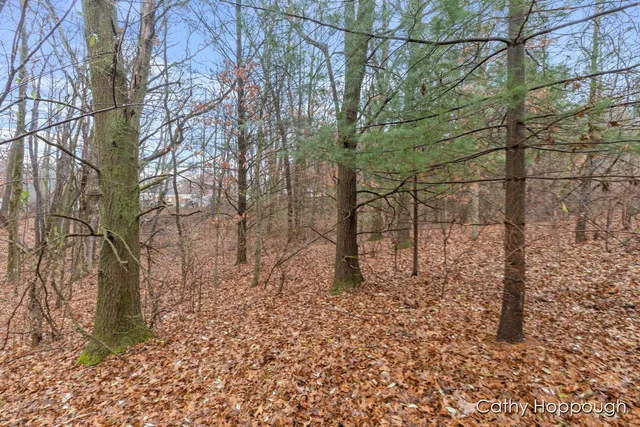 $250,000 | V/l West Snows Lake Road, Unit PARCEL 1, Fenwick, MI 48834