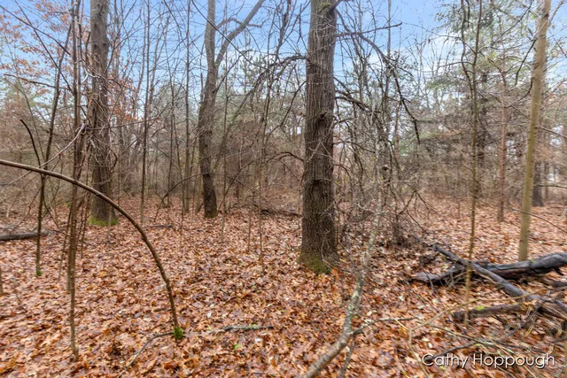 $250,000 | V/l West Snows Lake Road, Unit PARCEL 1, Fenwick, MI 48834