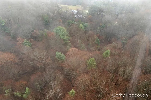 $250,000 | V/l West Snows Lake Road, Unit PARCEL 1, Fenwick, MI 48834