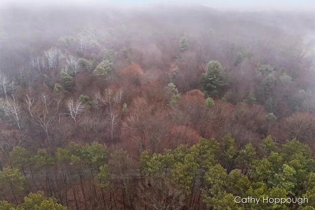 $250,000 | V/l West Snows Lake Road, Unit PARCEL 1, Fenwick, MI 48834