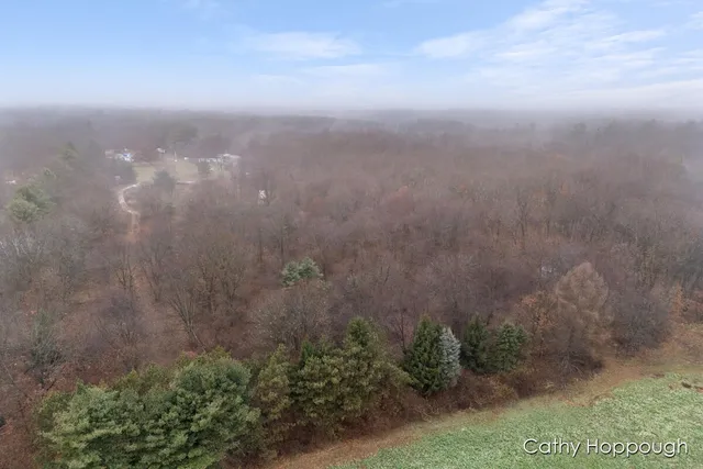 $250,000 | V/l West Snows Lake Road, Unit PARCEL 1, Fenwick, MI 48834