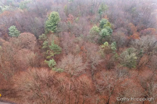 $250,000 | V/l West Snows Lake Road, Unit PARCEL 1, Fenwick, MI 48834