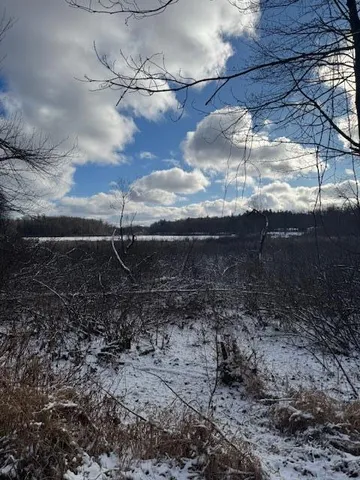 $250,000 | V/l West Snows Lake Road, Unit PARCEL 1, Fenwick, MI 48834