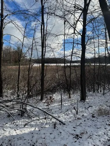$250,000 | V/l West Snows Lake Road, Unit PARCEL 1, Fenwick, MI 48834
