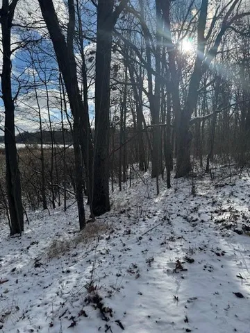 $250,000 | V/l West Snows Lake Road, Unit PARCEL 1, Fenwick, MI 48834