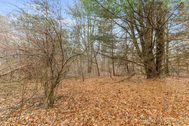 $250,000 | V/l West Snows Lake Road, Unit PARCEL 1, Fenwick, MI 48834