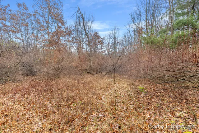 $250,000 | V/l West Snows Lake Road, Unit PARCEL 1, Fenwick, MI 48834