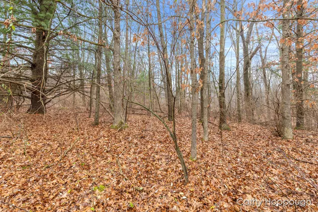$250,000 | V/l West Snows Lake Road, Unit PARCEL 1, Fenwick, MI 48834