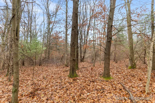 $250,000 | V/l West Snows Lake Road, Unit PARCEL 1, Fenwick, MI 48834