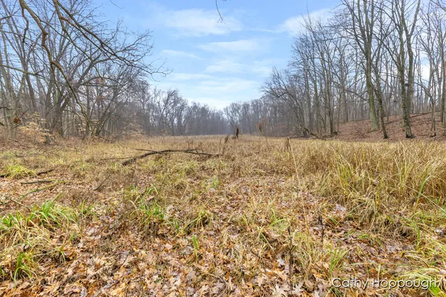 $250,000 | V/l West Snows Lake Road, Unit PARCEL 1, Fenwick, MI 48834