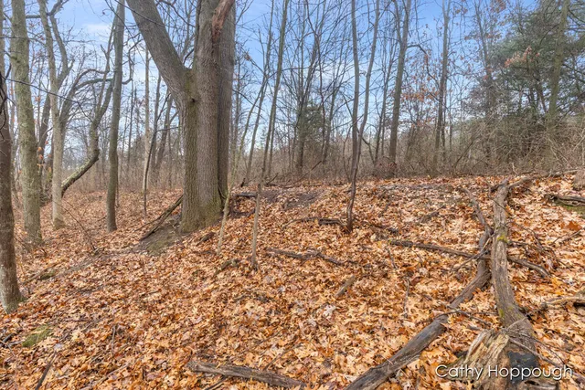 $250,000 | V/l West Snows Lake Road, Unit PARCEL 1, Fenwick, MI 48834