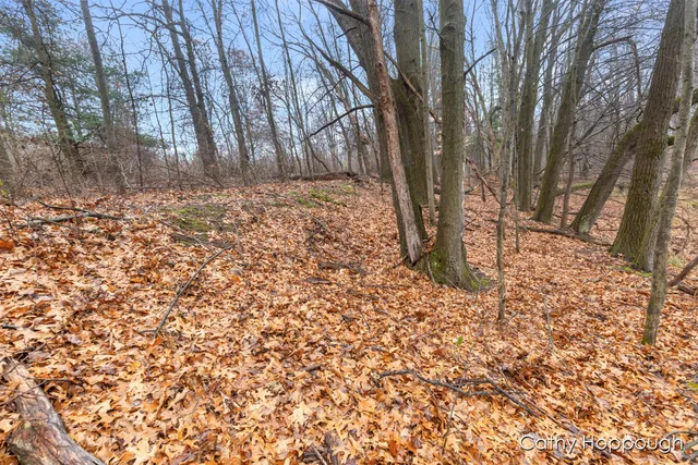 $250,000 | V/l West Snows Lake Road, Unit PARCEL 1, Fenwick, MI 48834