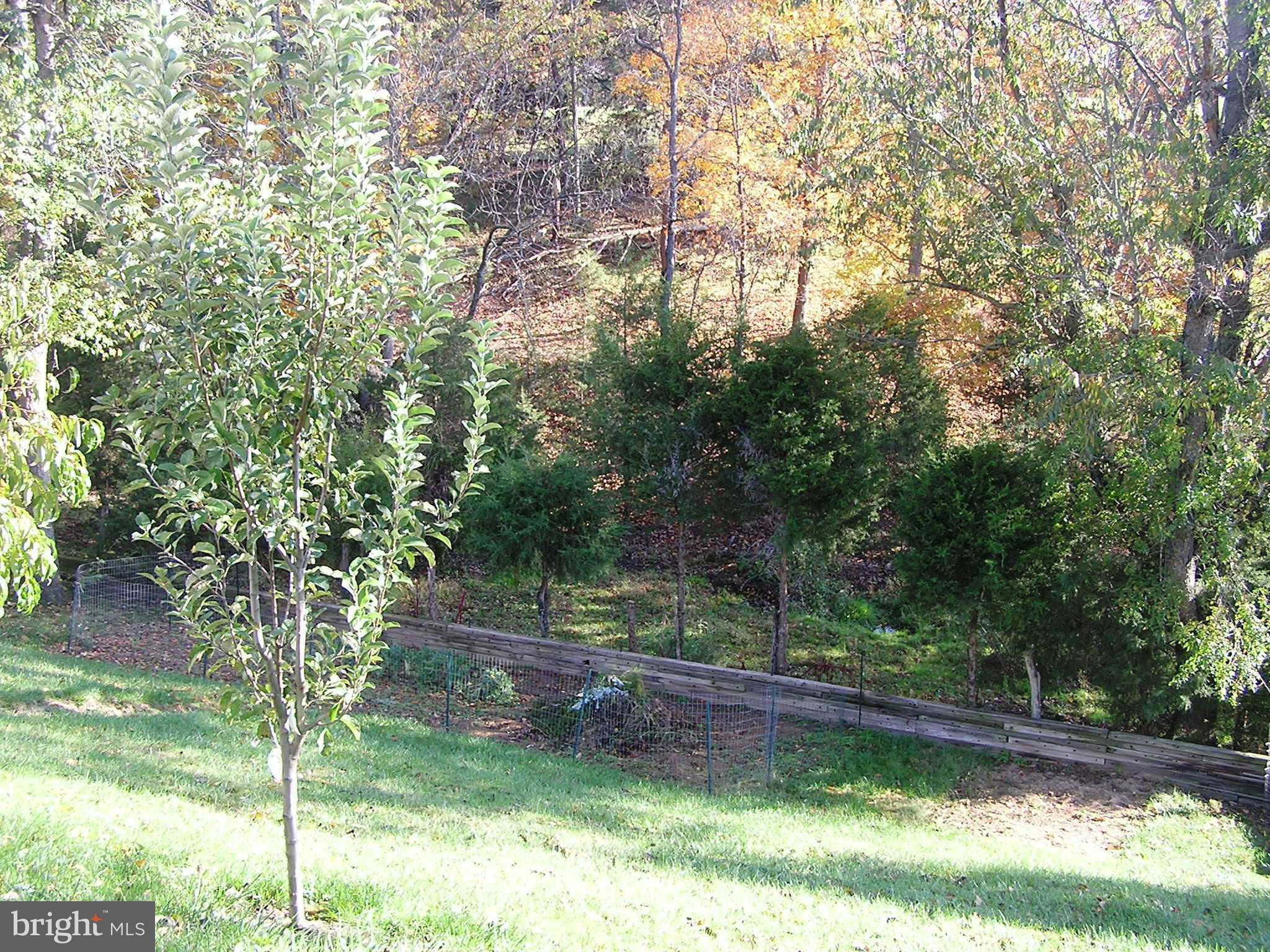 108 Rte 1288 Winchester, VA 22602 - Photo 27 of 30 View