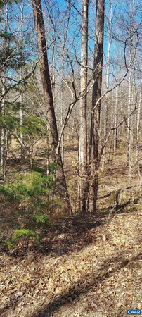 a backyard of a house