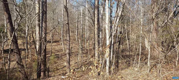 a view of a lake with a city