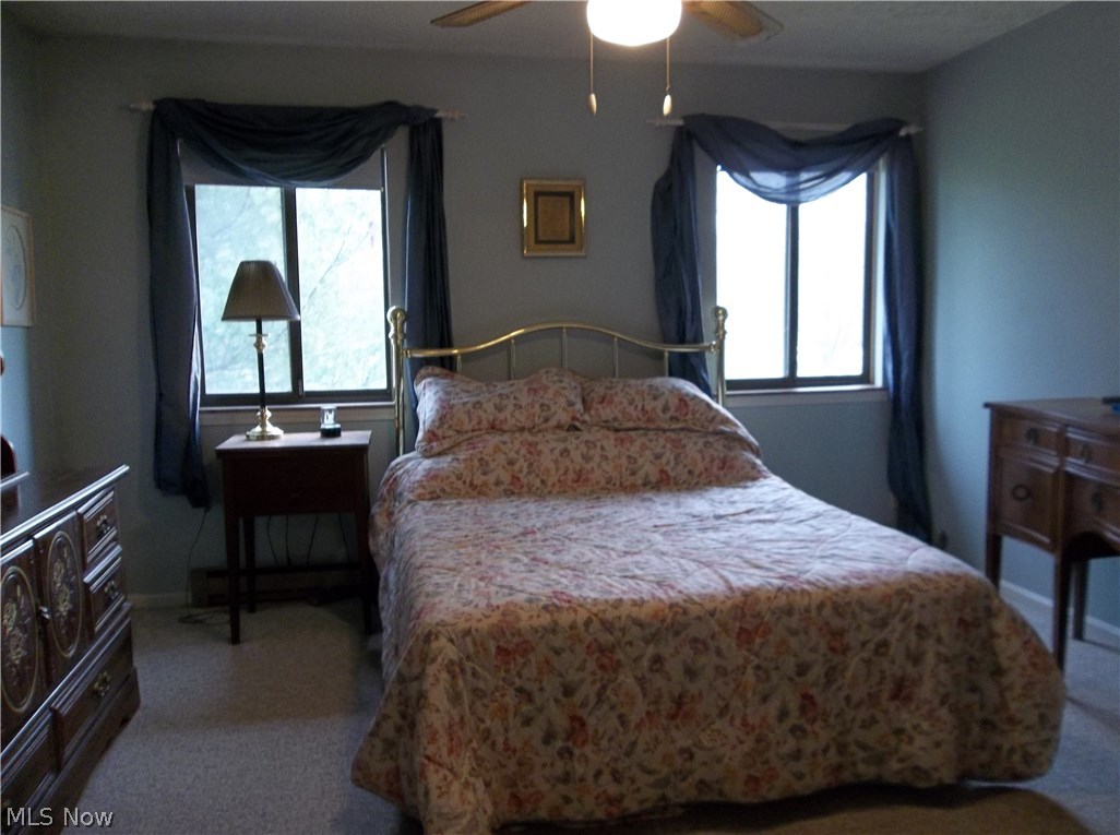 70 Boulder Ridge Place Painesville, OH 44077 - Photo 12 of 26 This master bedroom has plenty of natural light and a ceiling fan for great air circulation!