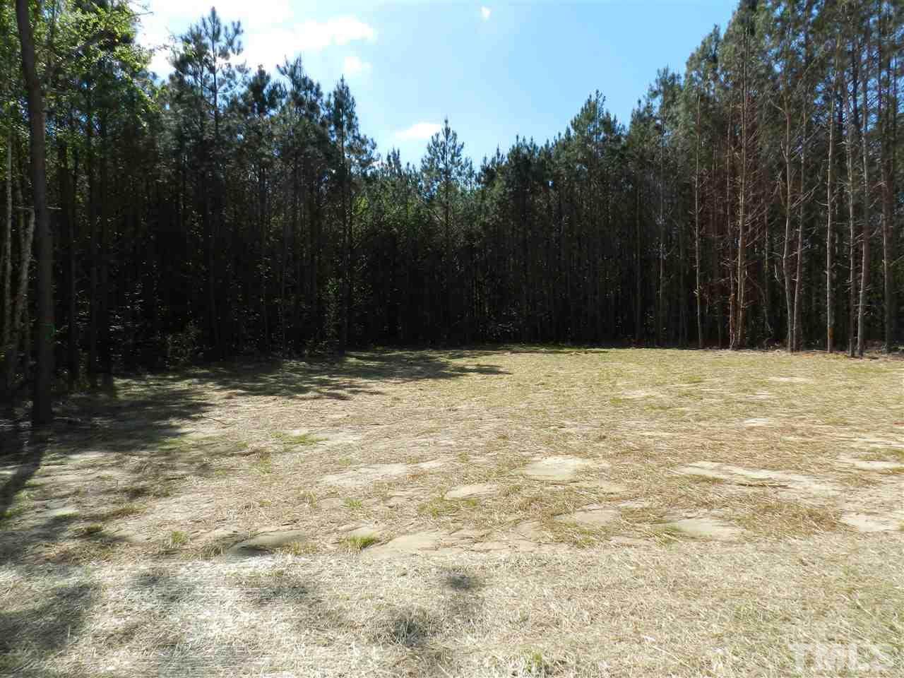 250 Saylor Ridge Lane Willow Spring, NC 27592 - Photo 3 of 6 Gallery Image 3