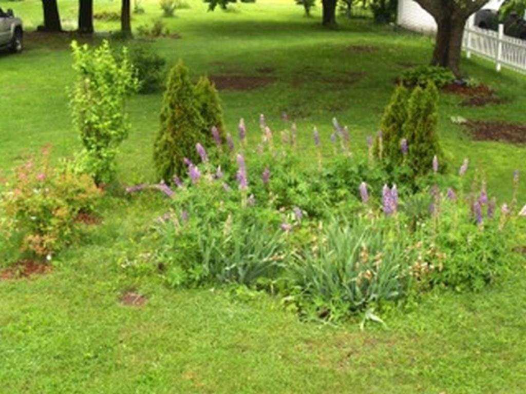 2822 Lee Road Lee, ME 04455 - Photo 25 of 34 Photo