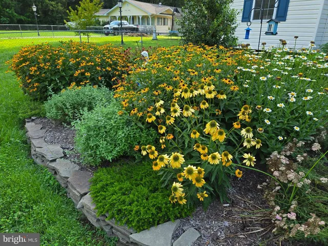 a front view of house with yard and green space