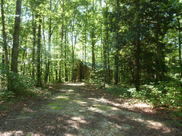 4072 Mt Helen Road Allardt, TN 38504 - Photo 10 of 20 mt helen 10